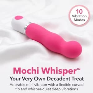 Mochi Whisper showing features